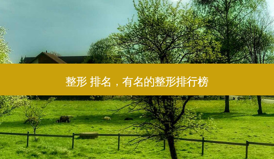 整形 排名,有名的整形排行榜-第1张图片-美呗严选网 整形 排名,有名的整形排行榜-第1张图片-美呗严选网