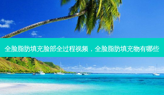全脸脂肪填充脸部全过程视频，全脸脂肪填充物有哪些-第1张图片-美呗严选网