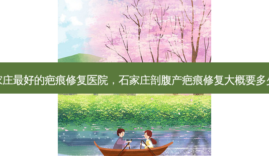 石家庄 *** 的疤痕修复医院，石家庄剖腹产疤痕修复大概要多少钱-第1张图片-美呗严选网