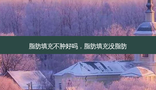 脂肪填充不肿好吗,脂肪填充没脂肪-第1张图片-美呗严选网 脂肪填充不肿好吗,脂肪填充没脂肪-第1张图片-美呗严选网