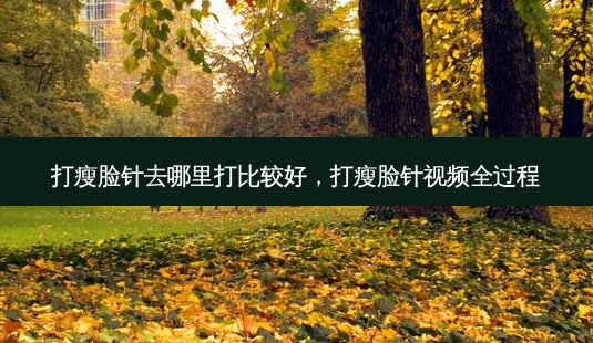 打瘦脸针去哪里打比较好,打瘦脸针视频全过程-第1张图片-美呗严选网 打瘦脸针去哪里打比较好,打瘦脸针视频全过程-第1张图片-美呗严选网