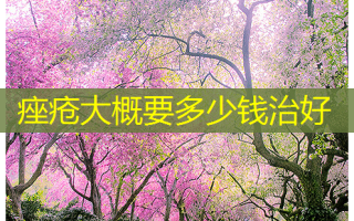 痤疮大概要多少钱治好