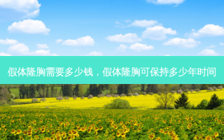 假体隆胸需要多少钱，假体隆胸可保持多少年时间