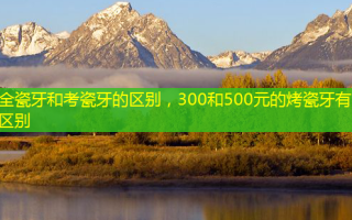 全瓷牙和考瓷牙的区别，300和500元的烤瓷牙有啥区别