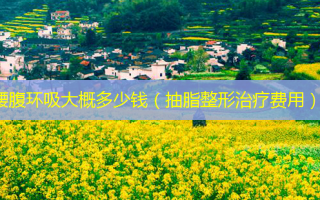 腰腹环吸大概多少钱（抽脂整形费用）