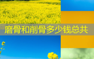 磨骨和削骨多少钱总共