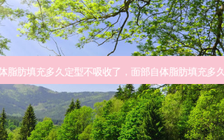 面部自体脂肪填充多久定型不吸收了，面部自体脂肪填充多久消肿啊