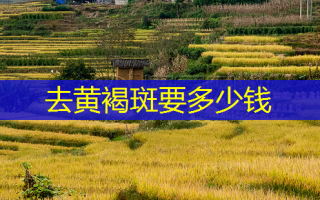 去黄褐斑要多少钱