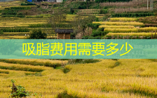 吸脂费用需要多少