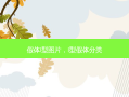 假体l型图片，l型假体分类