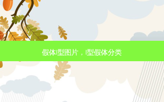 假体l型图片，l型假体分类