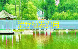 植发费用