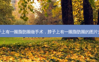 脖子上有一圈脂肪圈做手术，脖子上有一圈脂肪圈的图片女人