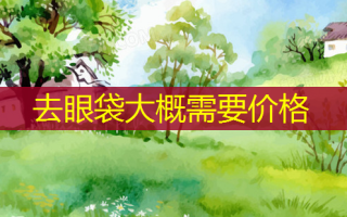 去眼袋大概需要价格