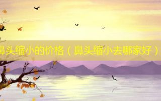 鼻头缩小的价格（鼻头缩小去哪家好）