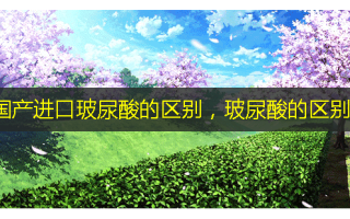 国产进口玻尿酸的区别，玻尿酸的区别