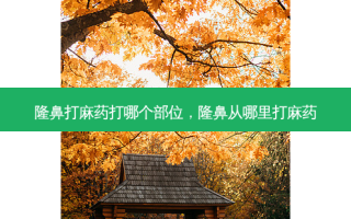 隆鼻打麻药打哪个部位，隆鼻从哪里打麻药