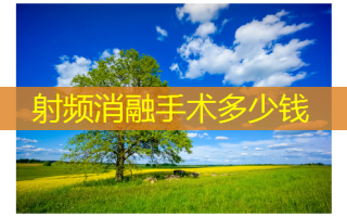 射频消融手术多少钱