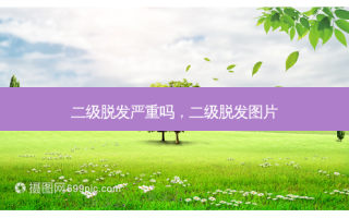 二级脱发严重吗，二级脱发图片