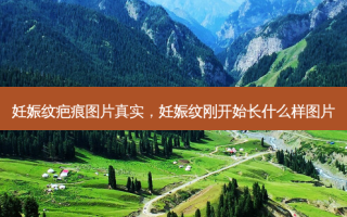 妊娠纹疤痕图片真实，妊娠纹刚开始长什么样图片