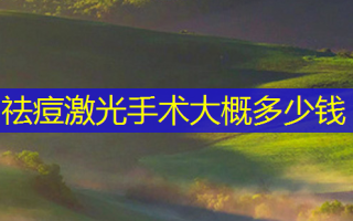 祛痘激光手术大概多少钱