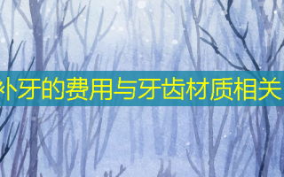 补牙的费用与牙齿材质相关