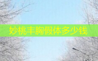 妙桃丰胸假体多少钱