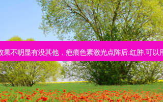 疤痕色素激光效果不明显有没其他，疤痕色素激光点阵后.红肿.可以用京万红软膏吗