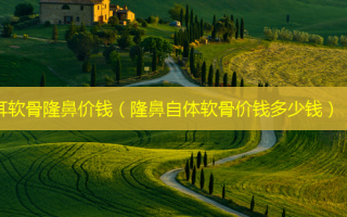 耳软骨隆鼻价钱（隆鼻自体软骨价钱多少钱）