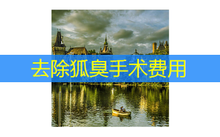 去除狐臭手术费用