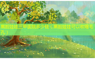 黑脸娃娃三甲医院多少钱（黑脸娃娃可以收缩毛孔）