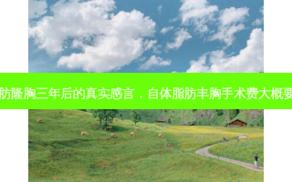 自体脂肪隆胸三年后的真实感言，自体脂肪丰胸手术费大概要多少钱