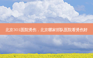 北京301医院烫伤，北京哪家部队医院看烫伤好