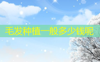 毛发种植一般多少钱呢