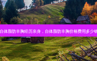 自体脂肪丰胸经历亲身，自体脂肪丰胸价格费用多少钱