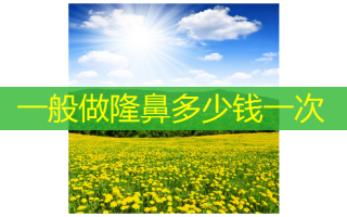 一般做隆鼻多少钱一次