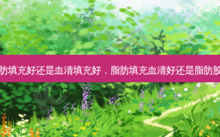 脂肪填充好还是血清填充好，脂肪填充血清好还是脂肪胶好