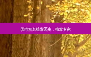 国内知名植发医生，植发专家