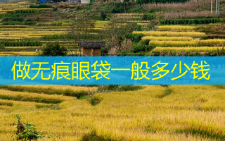 做无痕眼袋一般多少钱
