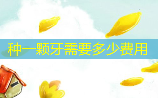 种一颗牙需要多少费用