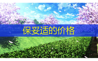 的价格