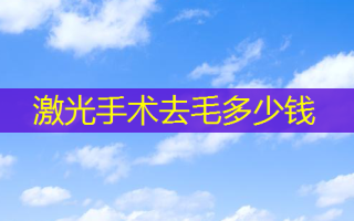 激光手术去毛多少钱