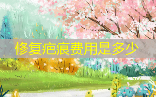 修复疤痕费用是多少