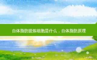 自体脂肪提炼细胞是什么，自体脂肪原理