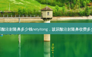 玻尿酸注射隆鼻多少钱netyitong，玻尿酸注射隆鼻收费多少钱