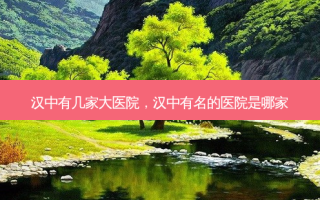汉中有几家大医院，汉中有名的医院是哪家