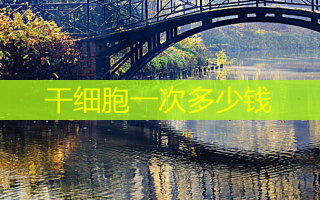 干细胞一次多少钱