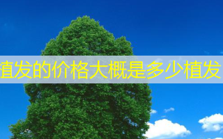 植发的价格大概是多少植发