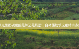 自体脂肪填充里面硬硬的是肿还是脂肪，自体脂肪填充硬结有点疼会致癌吗
