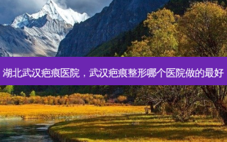 湖北武汉疤痕医院，武汉疤痕整形哪个医院做的 *** 